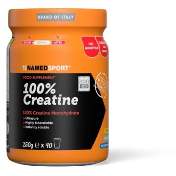 Named Sport 100% Creatina 250 g