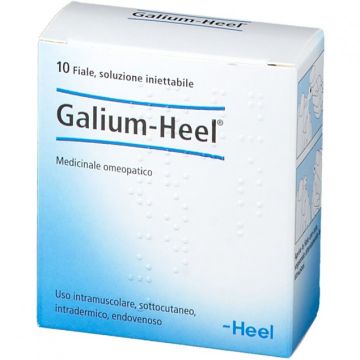Galium Heel 10 Fiale