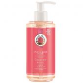Roger Gallet Sapone Liquido Mani Gingembre Rouge 250ml